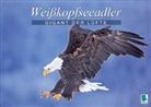 Calvendo - Gigant der Lüfte: Weißkopfseeadler (Posterbuch DIN A3 quer)
