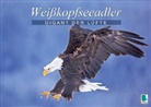 Calvendo - Gigant der Lüfte: Weißkopfseeadler (Posterbuch DIN A4 quer)