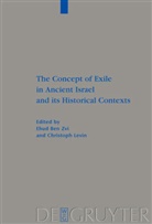Ehu Ben Zvi, Ehud Ben Zvi, Ehud BenZvi, Levin, Levin, Christoph Levin - The Concept of Exile in Ancient Israel and its Historical Contexts