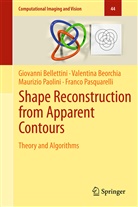 Giovann Bellettini, Giovanni Bellettini, Valentin Beorchia, Valentina Beorchia, Paolini, Maurizio Paolini... - Shape Reconstruction from Apparent Contours