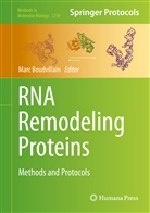 Mar Boudvillain, Marc Boudvillain - RNA Remodeling Proteins