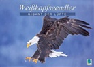 Calvendo - Gigant der Lüfte: Weißkopfseeadler (Tischaufsteller DIN A5 quer)