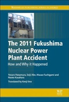 Seiji Abe, Seiji (Professor Abe, Abe Seiji, Masao Fuchigami, Masao (Komatsu Ltd. Fuchigami, Fuchigami Masao... - 2011 Fukushima Nuclear Power Plant Accident