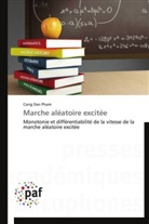 Cong Dan Pham, Pham-c - Marche aleatoire excitee