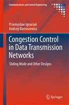 Andrzej Bartoszewicz, Przemys aw Ignaciuk, Przemysla Ignaciuk, Przemyslaw Ignaciuk, Przemysław Ignaciuk - Congestion Control in Data Transmission Networks