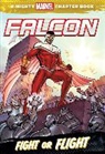 Tom Grummett, Chris Wyatt, Chris/ Grummett Wyatt, Tom Grummett - Falcon