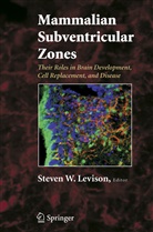 Stev Levison, Steve Levison, Steven W. Levison - Mammalian Subventricular Zones