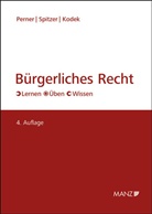 Georg E Kodek, Stefan Perner, Martin Spitzer - Bürgerliches Recht (f. Österreich), m. Glossar