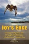 Robin King - Joy's Edge