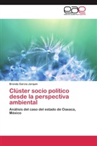 Brenda García Jarquín - Clúster socio político desde la perspectiva ambiental