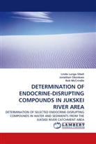 R McCrindle, Rob McCrindle, Jonatha Okonkwo, Jonathan Okonkwo, Linda Lung Sibali, Linda Lunga Sibali - DETERMINATION OF ENDOCRINE-DISRUPTING COMPOUNDS IN JUKSKEI RIVER AREA