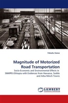Fekadu Kassa - Magnitude of Motorized Road Transportation