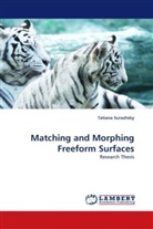Tatiana Surazhsky - Matching and Morphing Freeform Surfaces
