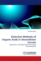 Arthi Ramrung - Detection Methods of Organic Acids in Steam/Water Circuits