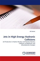 Ali Zaman - Jets in High Energy Hadronic Collisions