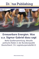 Michae Hochstein, Michael Hochstein - Erneuerbare Energien. Was u.a. Sigmar Gabriel dazu sagt