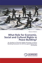 Melanie Robbins - What Role for Economic, Social and Cultural Rights in Peace Building?