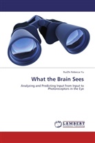RuiZhi Rebecca Yu - What the Brain Sees