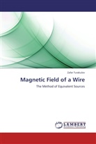 Zafar Turakulov - Magnetic Field of a Wire