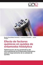 Francisco Gonzalez, Francisco González, Benito David Mata Cárdenas, Javier Vargas - Efecto de factores químicos en quistes de entamoeba histolytica