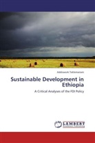 Addiswork Teklemariam - Sustainable Development in Ethiopia