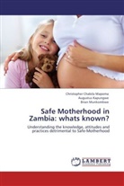 Augustu Kapungwe, Augustus Kapungwe, Christopher Chabil Mapoma, Christopher Chabila Mapoma, Mun, Brian Munkombwe - Safe Motherhood in Zambia: whats known?