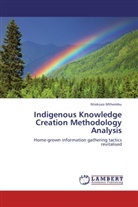 Ntokozo Mthembu - Indigenous Knowledge Creation Methodology Analysis