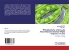 Muhamma Arshad, Muhammad Arshad, Riffa Bibi, Riffat Bibi, Allah Ditta - Rhizobacteria extenuate ACC-induced classical triple response in pea