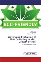 Fara Khan, Farah Khan, Amin Saeed, Amina Saeed, Shabnum Shaheen - Scavenging Evaluation of Pb & Cu During In Vitro Growth of Tulsi