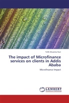 Tofik Musema Nuri - The impact of Microfinance services on clients in Addis Ababa