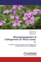 Khadij Gilani, Khadija Gilani, Rukham Haq, Rukhama Haq, Shagufta Naz - Micropropagation & Callogenesis of Vinca rosea. L.