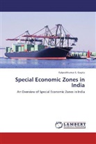 Kalpeshkumar L Gupta, Kalpeshkumar L. Gupta - Special Economic Zones in India