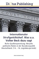 Michae Hochstein, Michael Hochstein - Internationaler Strafgerichtshof. Was u.a. Volker Beck dazu sagt