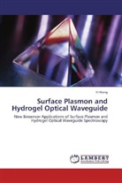 Yi Wang - Surface Plasmon and Hydrogel Optical Waveguide