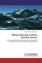 Jitendra Kumar Panigrahi - Wind induced surface gravity waves