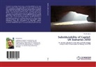Andrés Bucio - Substitutability of Capital: UK Scenarios 2050