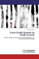 Martina Ja ová, Martina Ja¿ová, Martina JaSová - From Credit Growth to Credit Crunch