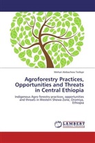 Mehari Alebachew Tesfaye - Agroforestry Practices, Opportunities and Threats in Central Ethiopia
