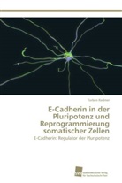 Torben Redmer - E-Cadherin in der Pluripotenz und Reprogrammierung somatischer Zellen