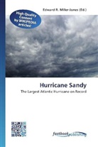 Edward R. Miller-Jones, Edwar R Miller-Jones - Hurricane Sandy