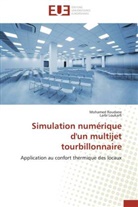 Larbi Loukarfi, Mohame Roudane, Mohamed Roudane - Simulation numerique d un