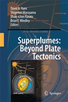 Shun-Ichiro Karato, Shun-ichiro Karato et al, Shigenor Maruyama, Shigenori Maruyama, Brian F. Windley, David A. Yuen - Superplumes: Beyond Plate Tectonics