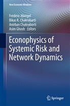 Frédéric Abergel, Bikas K Chakrabarti, Bikas K. Chakrabarti, Anirban Chakraborti, Anirban Chakraborti et al, Asim Ghosh... - Econophysics of Systemic Risk and Network Dynamics