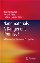 Roberta Brayner, Thibaud Coradin, Fernan Fiévet, Fernand Fiévet - Nanomaterials: A Danger or a Promise?