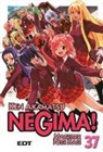 Ken Akamatsu - Negima 37