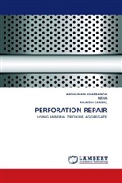 Rajnish Kansal, ANSHUMA KHARBANDA, Anshuman Kharbanda, Neh, Neha, . NEHA... - PERFORATION REPAIR