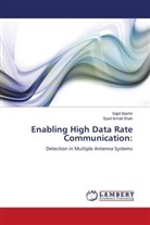 Saji Bashir, Sajid Bashir, Syed Ismail Shah - Enabling High Data Rate Communication: