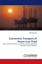 Rishi Raj Kairi - Convective Transport of Power-Law Fluid
