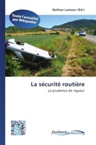 Natha Lamour, Nathan Lamour - La sécurité routière