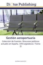 Jua Blanco Guzmán, Juan Blanco Guzmán - Gestión aeroportuaria